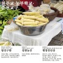평창천년삼 이미지