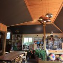 대관령 사파리 목장 이미지