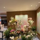 My Wedding _ 베뉴정하기(롯데호텔잠실, 엘리에나, 앰버서더 서울 풀만)