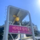외도보타니아 | 거제도 외도유람선은 도장포유람선 외도 보타니아 관광후기