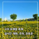 한강시민공원(등수국터널 2) | [경기도 가볼 만한 곳] 2026 구리 한강 시민 공원 유채꽃 축제 실시간 개화, 주차 꿀팁, 포토존