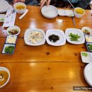 오이도 맛집 추천 등대횟집, 애견동반 가능하고 새우가 맛있는곳, 내돈내산 후기