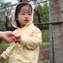 지민농장 이미지