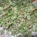 새튼튼약국 이미지