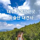 대견사 | 대구 가볼만한곳, 아이와 비슬산 대견사의 산 위에서 마주한 여름의 절경