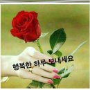 제29회 `행복 공감포럼` [삶으로 다시 떠오르기]-＜후기＞- 이미지