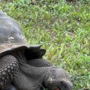 대왕목장 이미지