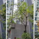 당신도 비서가 될 수 있다 이미지