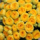 트렌드세터 이미지