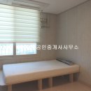 에코미르 이미지