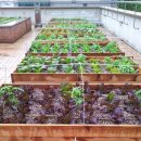 잠실2동 주민센터 이미지