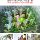 서울면목초등학교병설유치원 이미지