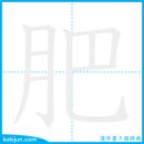 살찌다/비 이미지