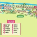 등억알프스야영장 이미지