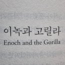 고릴라약국 이미지