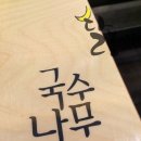 펜타포트국수나무 이미지