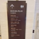오션코인노래연습장 이미지