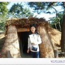 다솔에가다 이미지