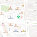 수성구애견미용꾸미멍
