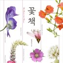 진선