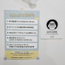 강아지생일케이크 내돈내산 둥글댕글 애견수제케이크 강북구강아지생일