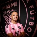 마이애미 이미지