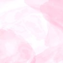 테라머뭄 이미지