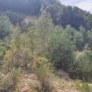 앙성초 영죽분교 이미지