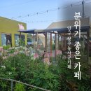 N28 강원도양구 감성카페 양구농사꾼추천♡