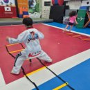 K용인대 태권도장 이미지