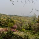 독산성길(삼남길) 이미지