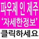 제주 파우제 대구모델하우스 오픈 연11% 10년간 확정수익 , 10년간 대출이자 지원 이미지