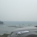섬이보인다