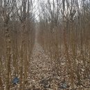 이팝농장 이미지