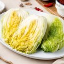 절임배추로 김장 하루 만에 끝내는 법 궁금해요!