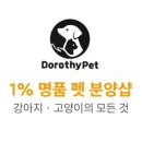 천안 고양이분양 도로시펫 이미지