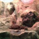 엑스포안경원 이미지