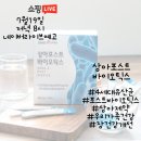 상아라이브