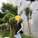 스타켓 이미지