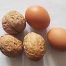 신왕농장 이미지