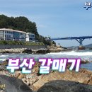 부산 청사포 다릿돌 전망대 이미지