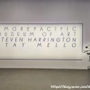 Stay Mellow 이미지