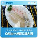 신선하고 저렴하게 구매하는 모듬회! '오정농수산물도매시장'