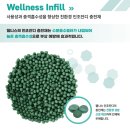 무안스포츠파크 유소년야구장 | #조달청우수제품 #인조잔디충전재 보충 #무안 스포츠파크 유소년야구장-#웰니스