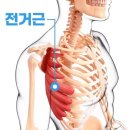 김향진