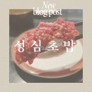 부천시청 맛집 육회폭탄초밥 성심초밥 후기