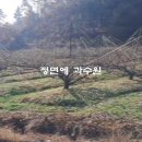 충주시 살미면 과수원 전930평 매매2억1천만원 이미지