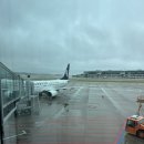 4615 | 2025년 추석연휴 중국 칭다오 4박5일여행 산동(산둥)항공 후기 SC4614/SC4615