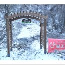 치악산 둘레길 9코스(12월17일)..자작나무길(어게인2).. 이미지