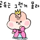 용호카츠 이미지